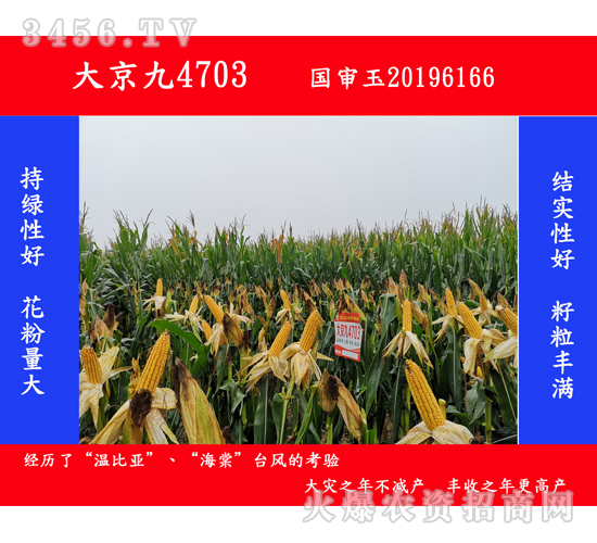 �󾩾�4703-��������-�󾩾�