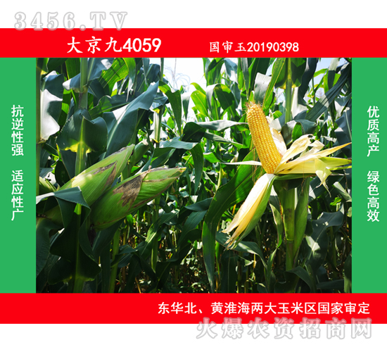 �󾩾�4059-��������-�󾩾�