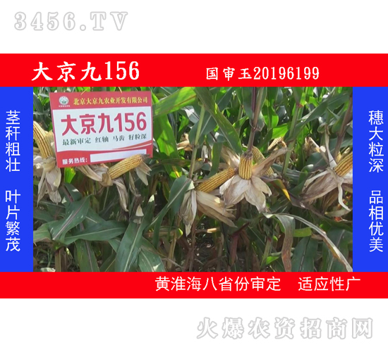 �󾩾�156-��������-�󾩾�