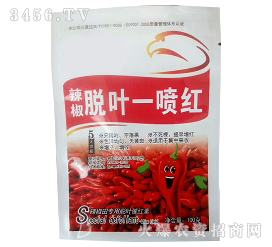 ������Ҷһ���-ʢ�ļ�