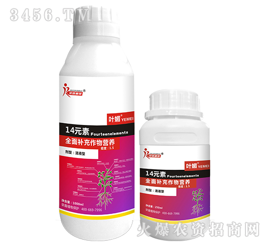 14Ԫ��-Ҷ��-����