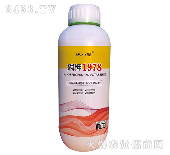 �׼�1978-�ذ���-��Խ����