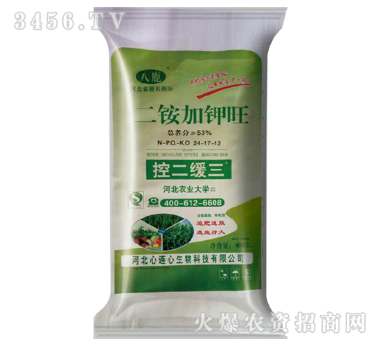 ��識Ӽ�����40kg��-�ض�����24-17-12-������