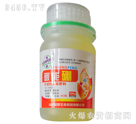 300g̼����-�d��
