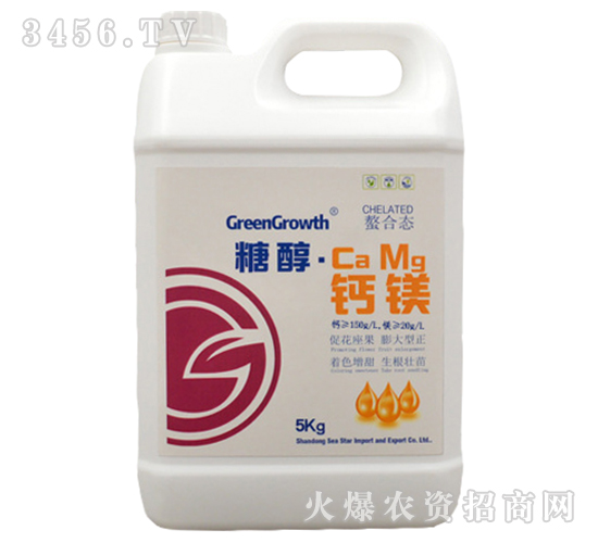 �Ǵ���þ-��֮��