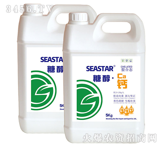 5kg�Ǵ���-��֮��