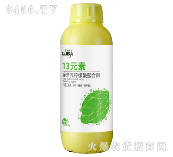 13Ԫ��-������