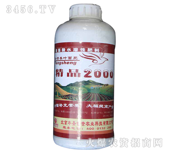 ��Ʒ2000Ҷ���-��ʥ����