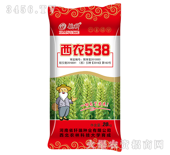 ��ũ538-����-������ҵ