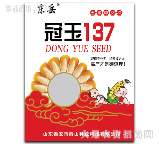 ����137-��������-����
