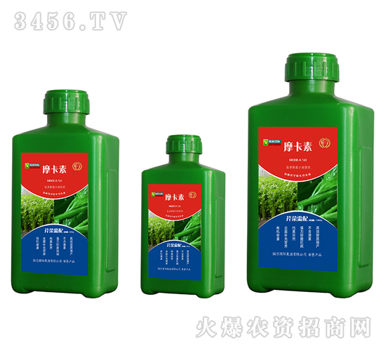 �۲�ר�ð���������Һ�ķ�-Ħ����-ǿо