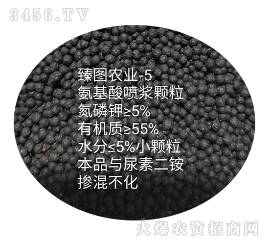 �������罬����-ʩ����