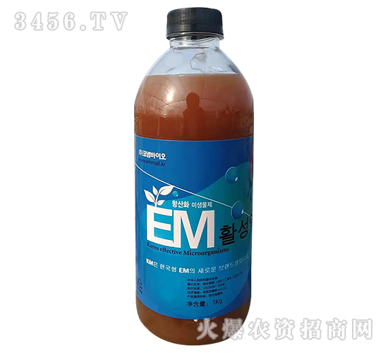 EM����ʩ��-˶��ӯ֦
