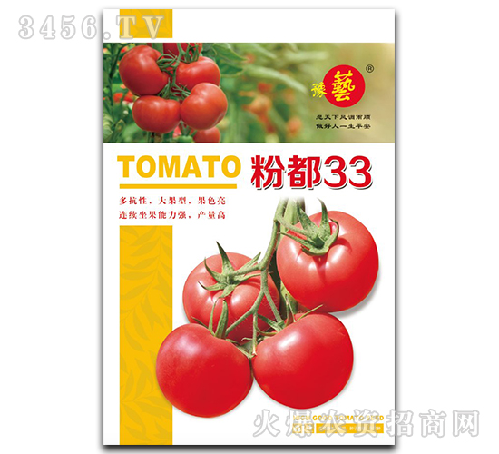 �۶�33-����������-ԥ��