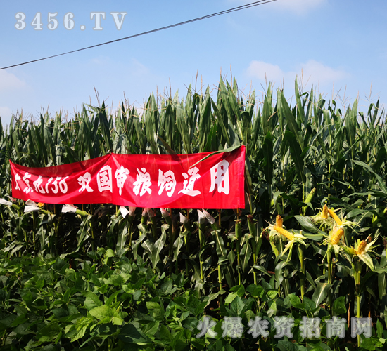 �󾩾�156��һ��-��������-�󾩾�