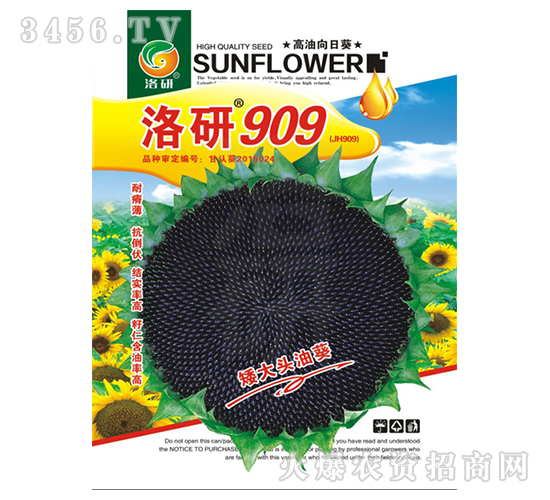 ���տ�����-����909-����