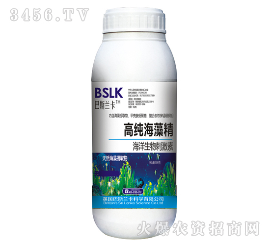 500g�ߴ����徫-��˹����