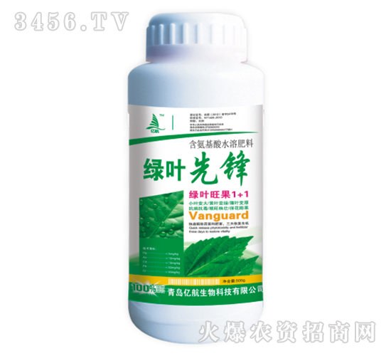 500g��Ҷ�ȷ�-�ں�