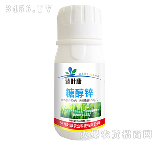 250ml�Ǵ�п-��Ҷ��