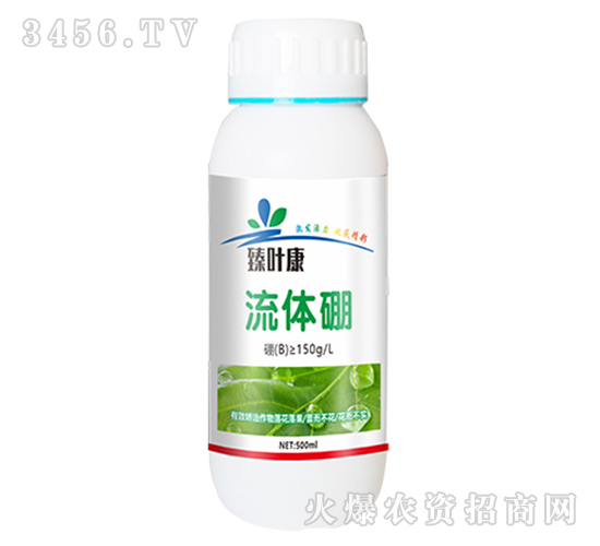 500ml������-��Ҷ��