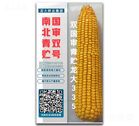 ˫������������335-��������-������ҵ