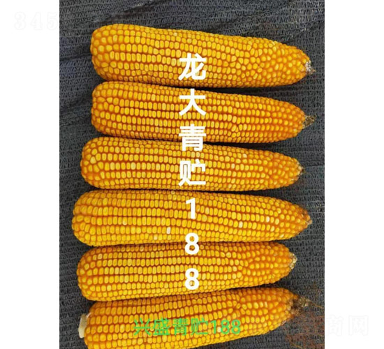 ��������188-��������-������ҵ