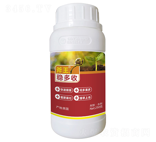 250g�ȶ���-����-�����