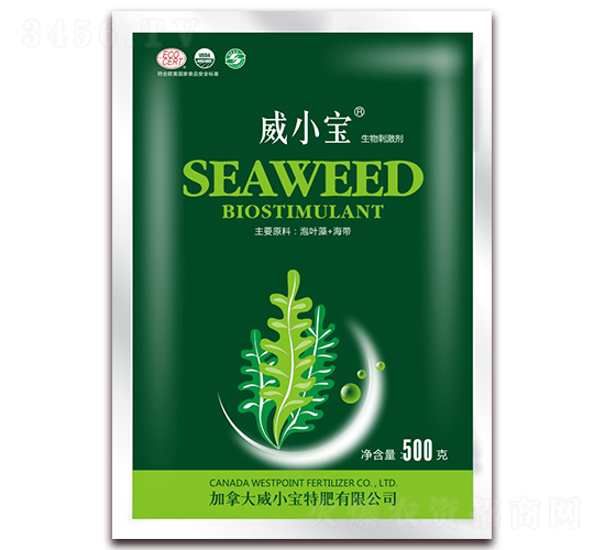 500g����̼���-��С��-�����