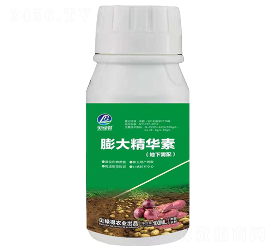 ��󾫻��أ��������䣩-���̵�
