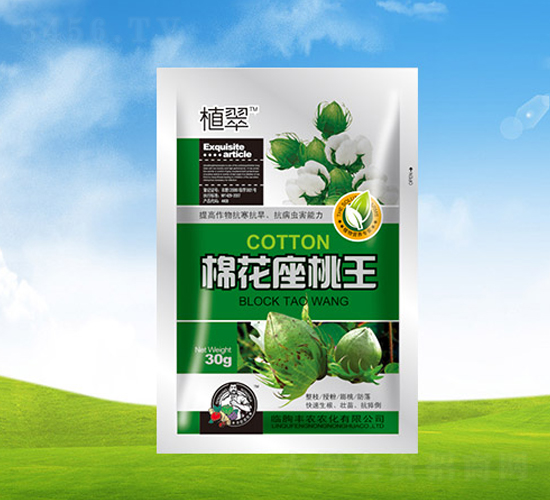 �޻�������-ֲ��-��ũũ��