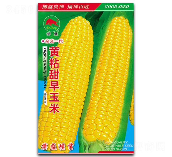 ��ճ��������-��������-��ʢ��ҵ