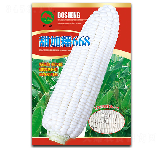���Ŵ668-��������-��ʢ��ҵ