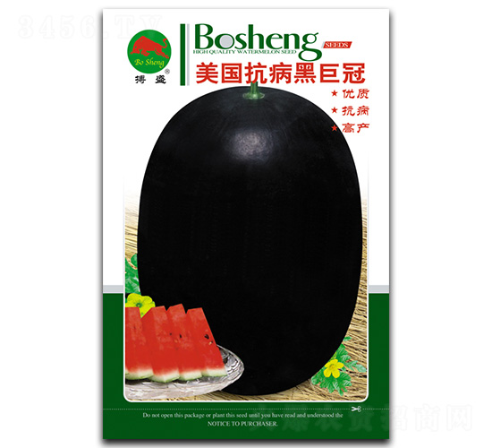 ���������ھ޹�-��������-��ʢ��ҵ