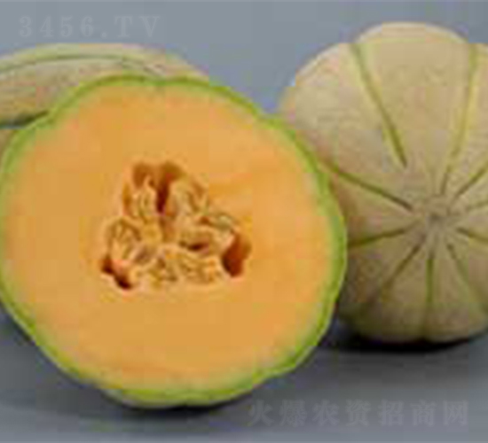 ��ľF1-�������-³��
