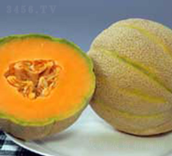 �Ҹ�F1-�������-³��