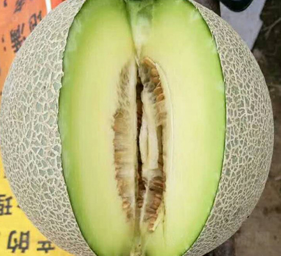 ���-�������-³��