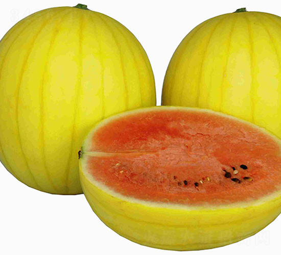 ��̫��-��������-³��