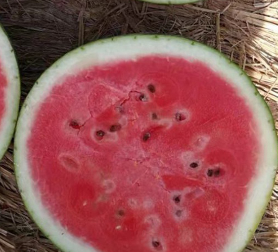 ����-��������-³��