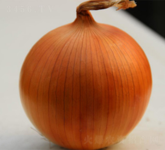 ��ȸ-�������-³��