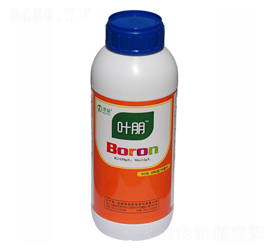 �л����-Ҷ��-ïʩũҵ