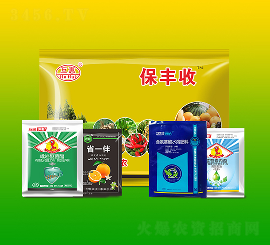 Ӫ��ɱ���ײ�-������-����