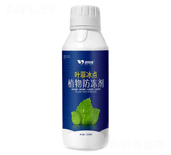 ֲ�������-Ҷ�Ʊ���-�°�Ҷ��