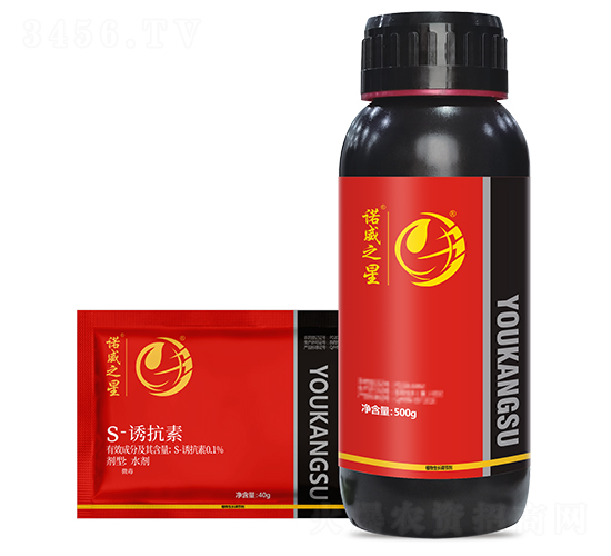 S-�տ���-ŵ��֮��-��ũ����