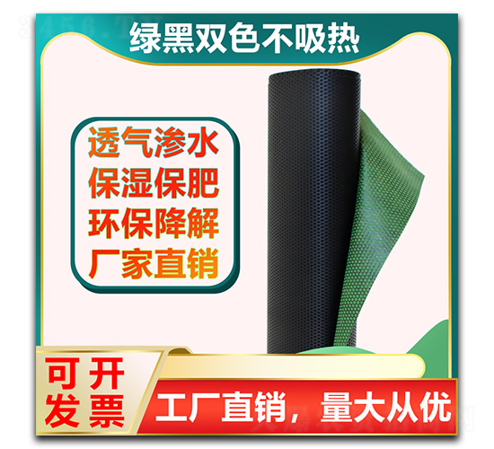 ���ݲ�-�����Ƽ�
