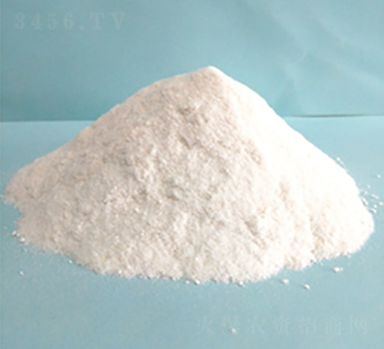 10%��ù����ܷ�-ũ������