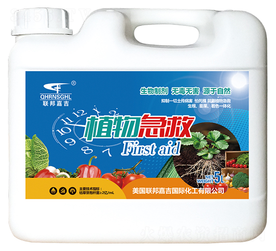 ֲ�Ｑ��-����μ�