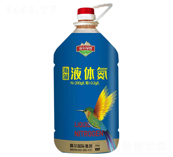 ����Һ�嵪-�Զ��̲�