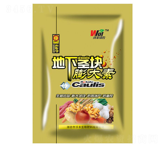 ���¾��������-�ַ���ũ-�ַ�����