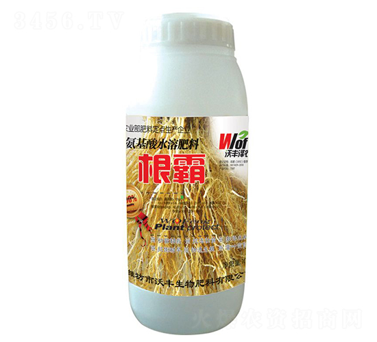����-�ַ���ũ-�ַ�����