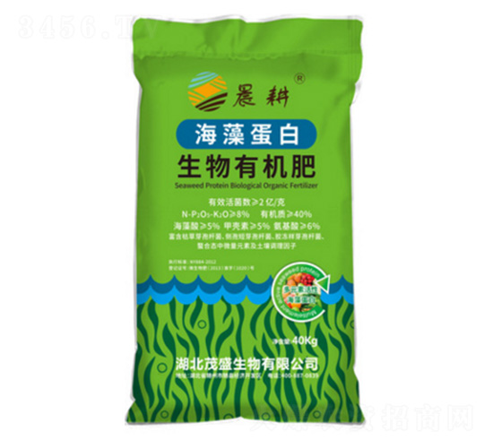 ���嵰�������л���-����-ïʢ����